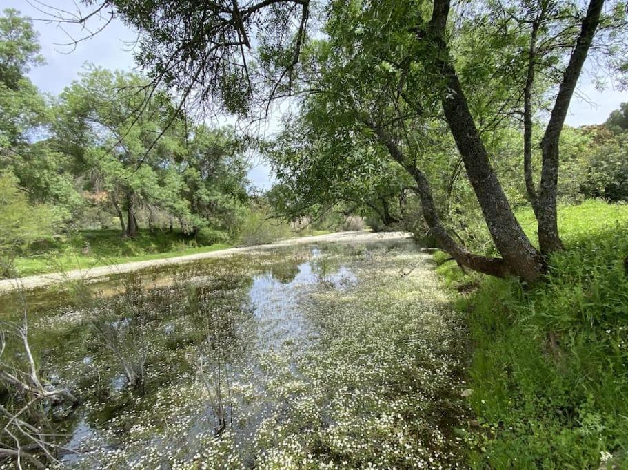 Finca La Alcolehuela En Parque Natural De Despenaperros Santa Elena Esterno foto
