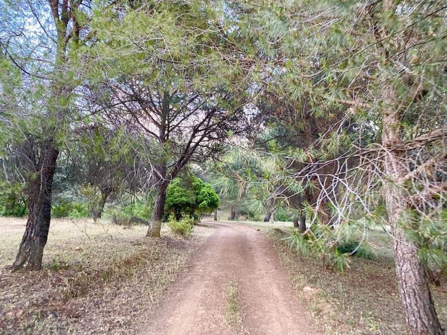 Finca La Alcolehuela En Parque Natural De Despenaperros Santa Elena Esterno foto