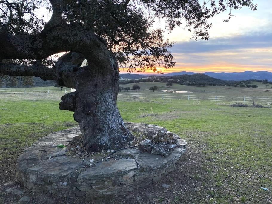 Finca La Alcolehuela En Parque Natural De Despenaperros Santa Elena Esterno foto