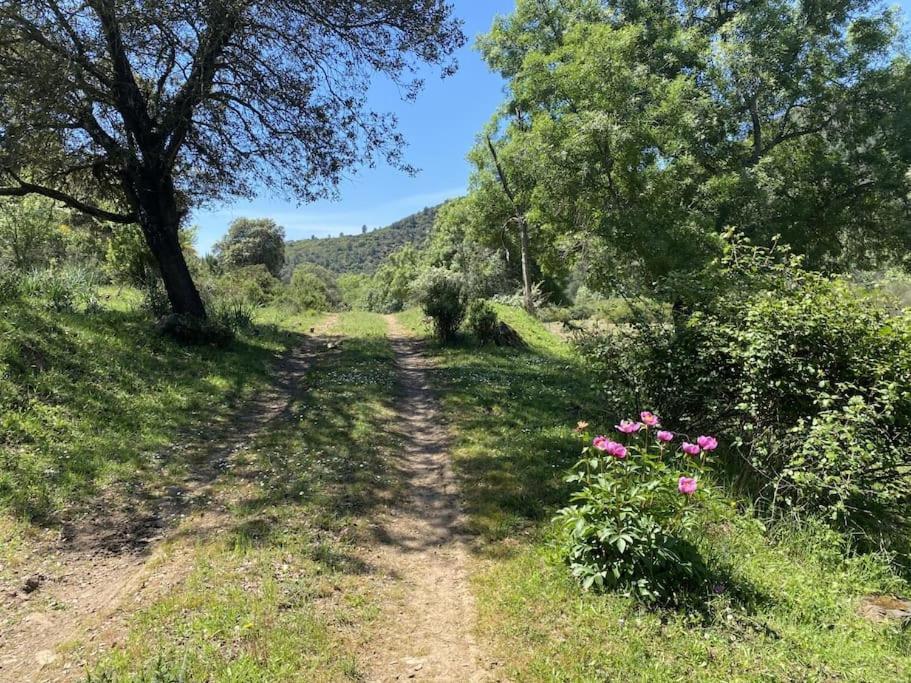 Finca La Alcolehuela En Parque Natural De Despenaperros Santa Elena Esterno foto